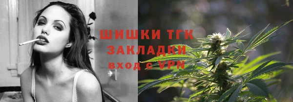 твердый Абаза