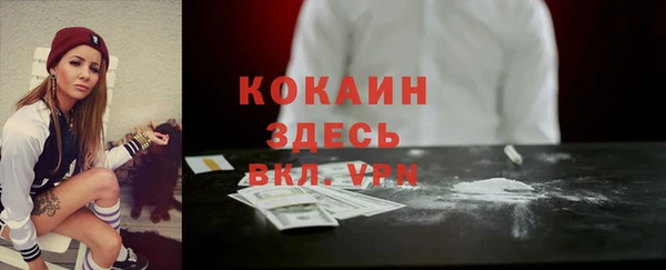 твердый Абаза