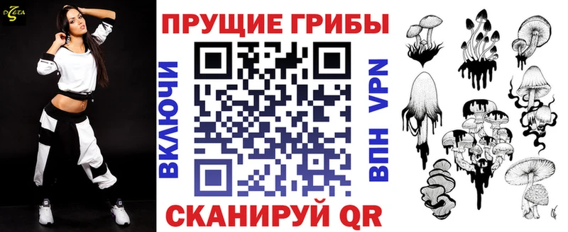 наркотики  Бийск  Псилоцибиновые грибы Cubensis 